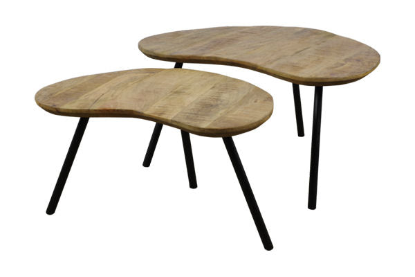 Salontafel- Foppe- Set van 2