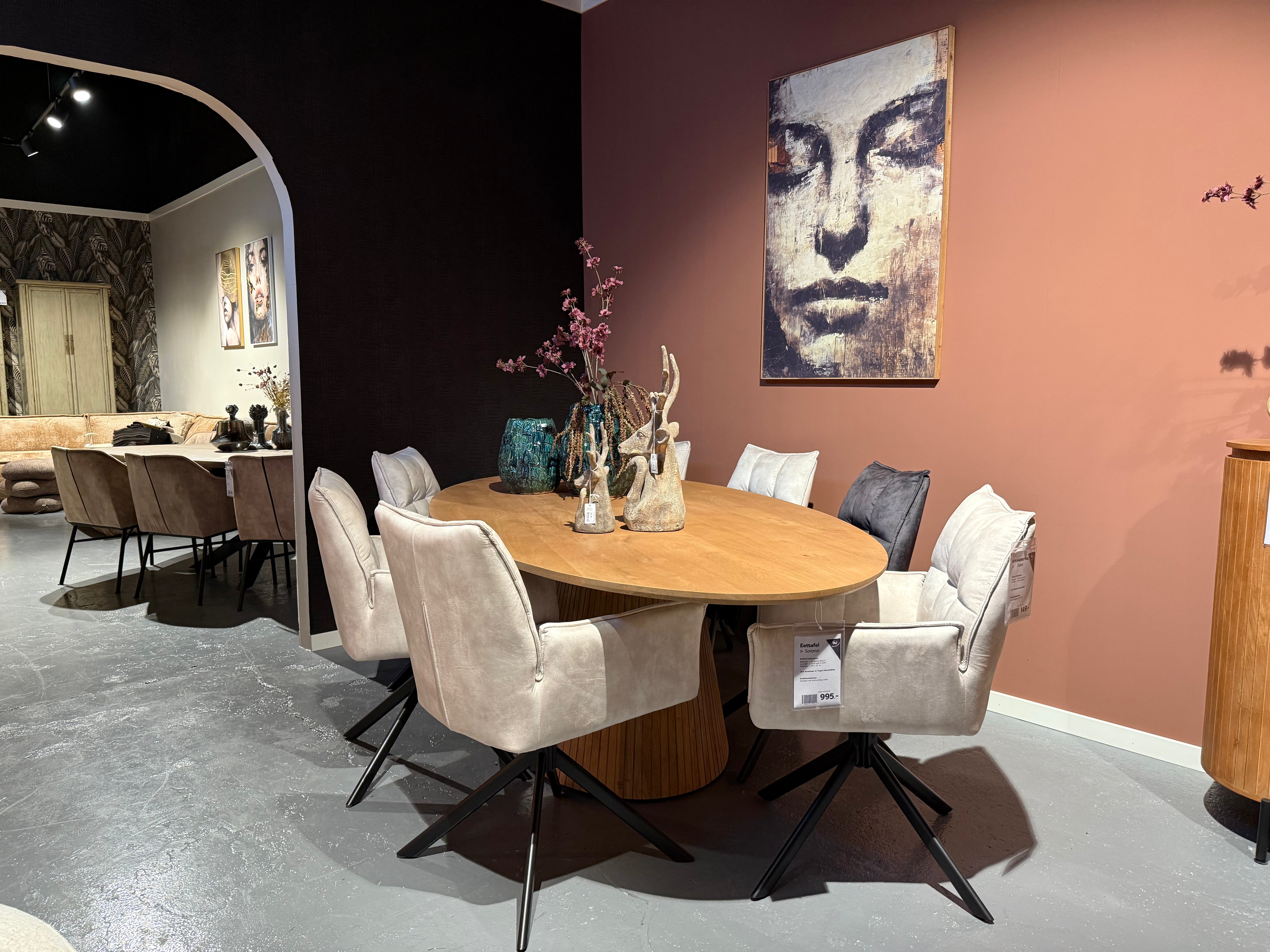 De Friese Meubeljongens