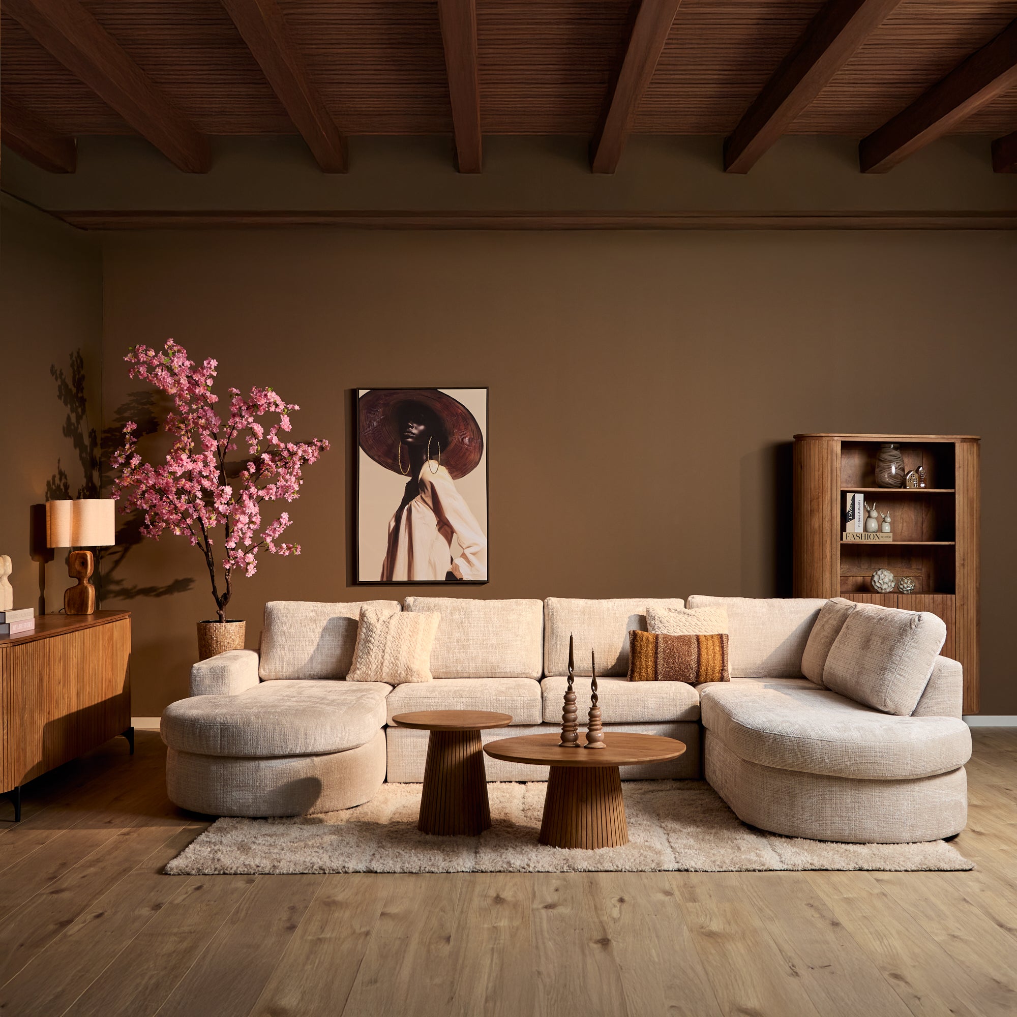 De Friese Meubeljongens