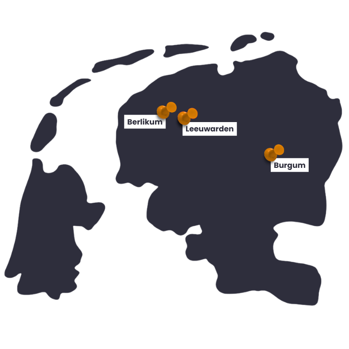 De Friese Meubeljongens