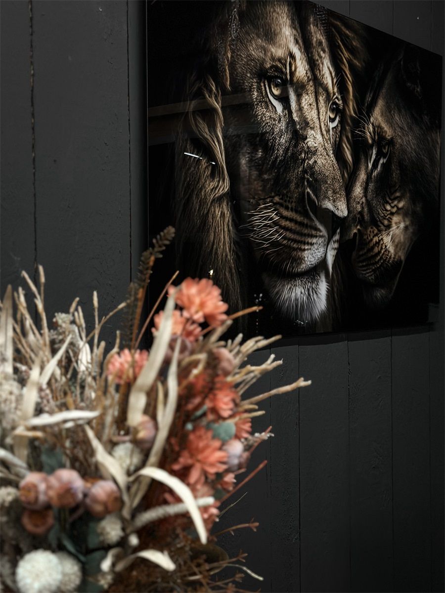 Schilderij tempered glass 'leeuw en leeuwin - Alleen af te halen - Geen verzending