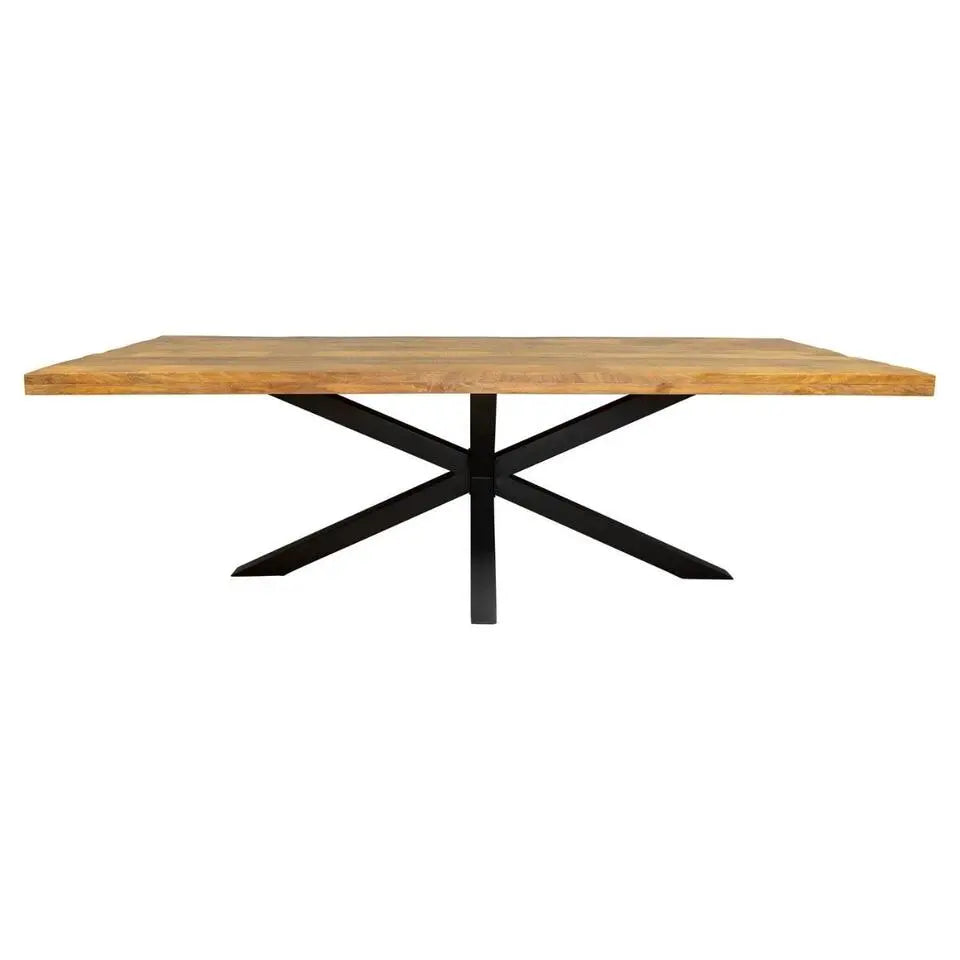 Eetkamertafel 200 x 100 cm - Rechthoek met matrixpoot - Mangohout - OP=OP DEAL