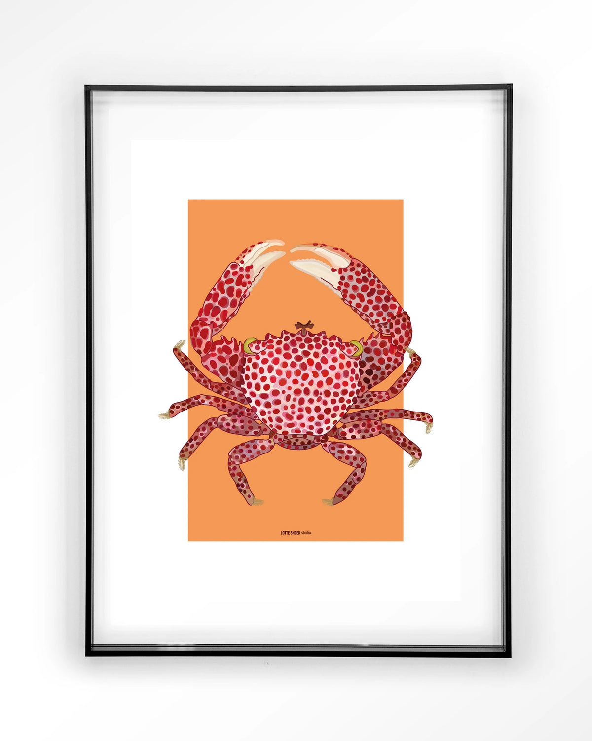 Trapezia – rode krab op oranje – Art print – Acryl zwart