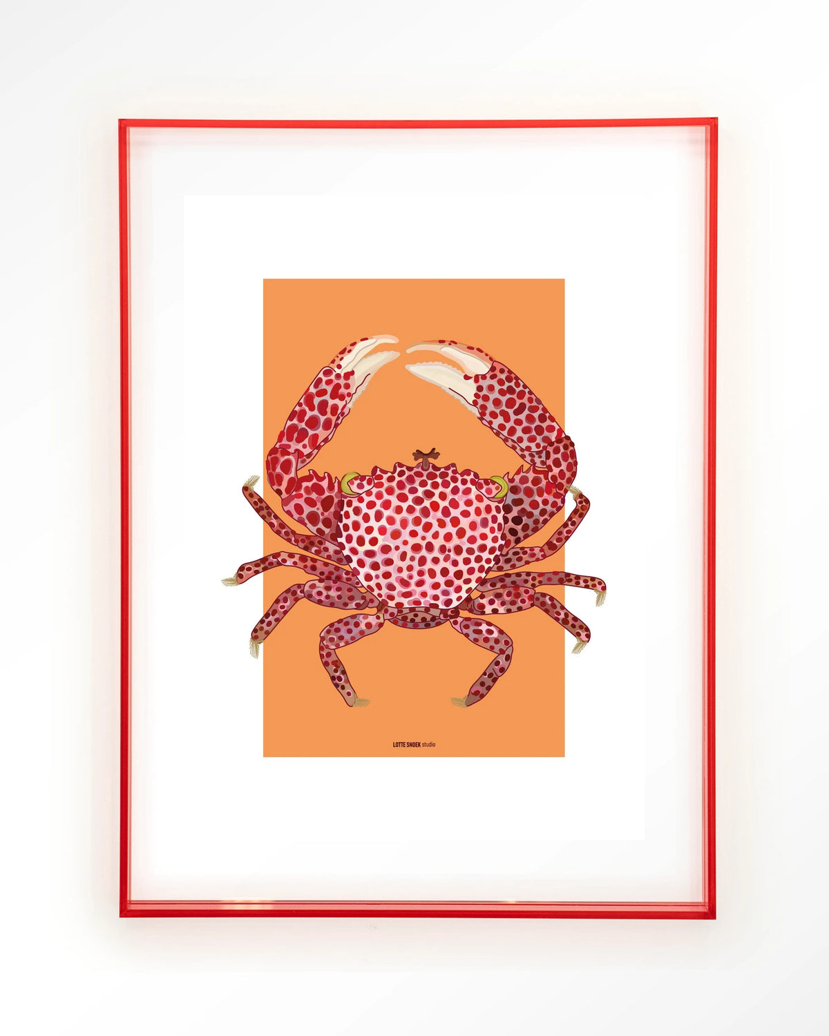 Trapezia – rode krab op oranje – Art print – Acryl roze