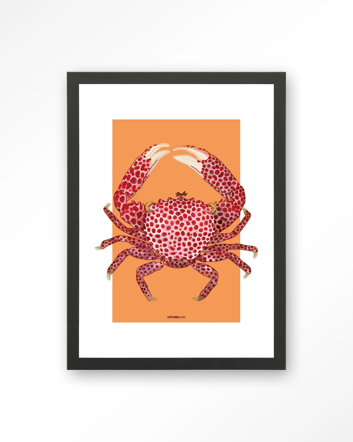 Trapezia – rode krab op oranje – Art print – Hout zwart