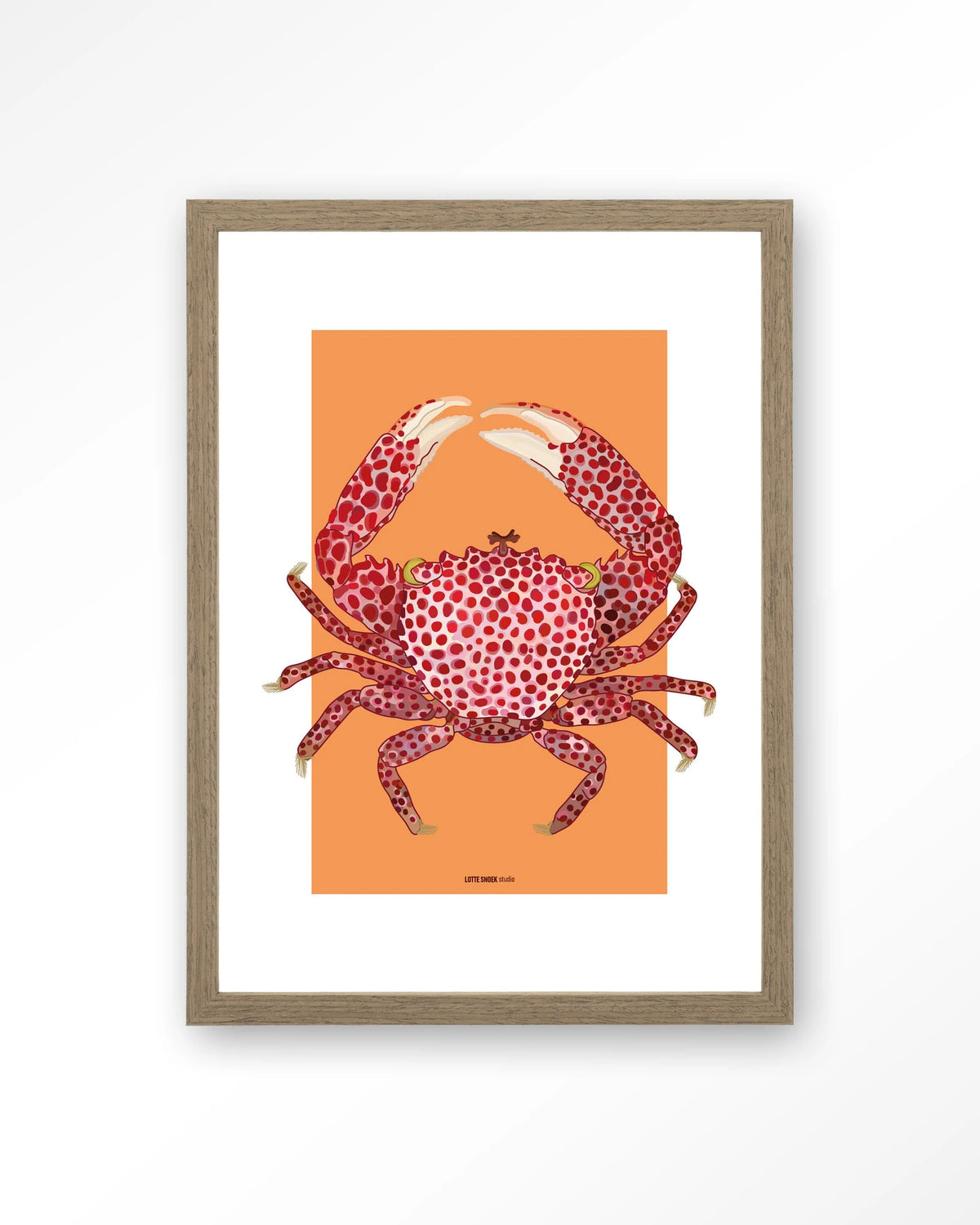 Trapezia – rode krab op oranje – Art print – Hout bruin