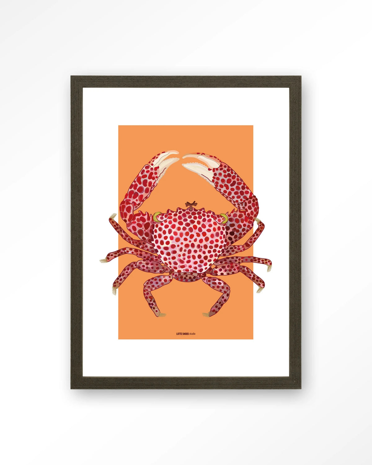 Trapezia – rode krab op oranje – Art print – Hout donkerbruin