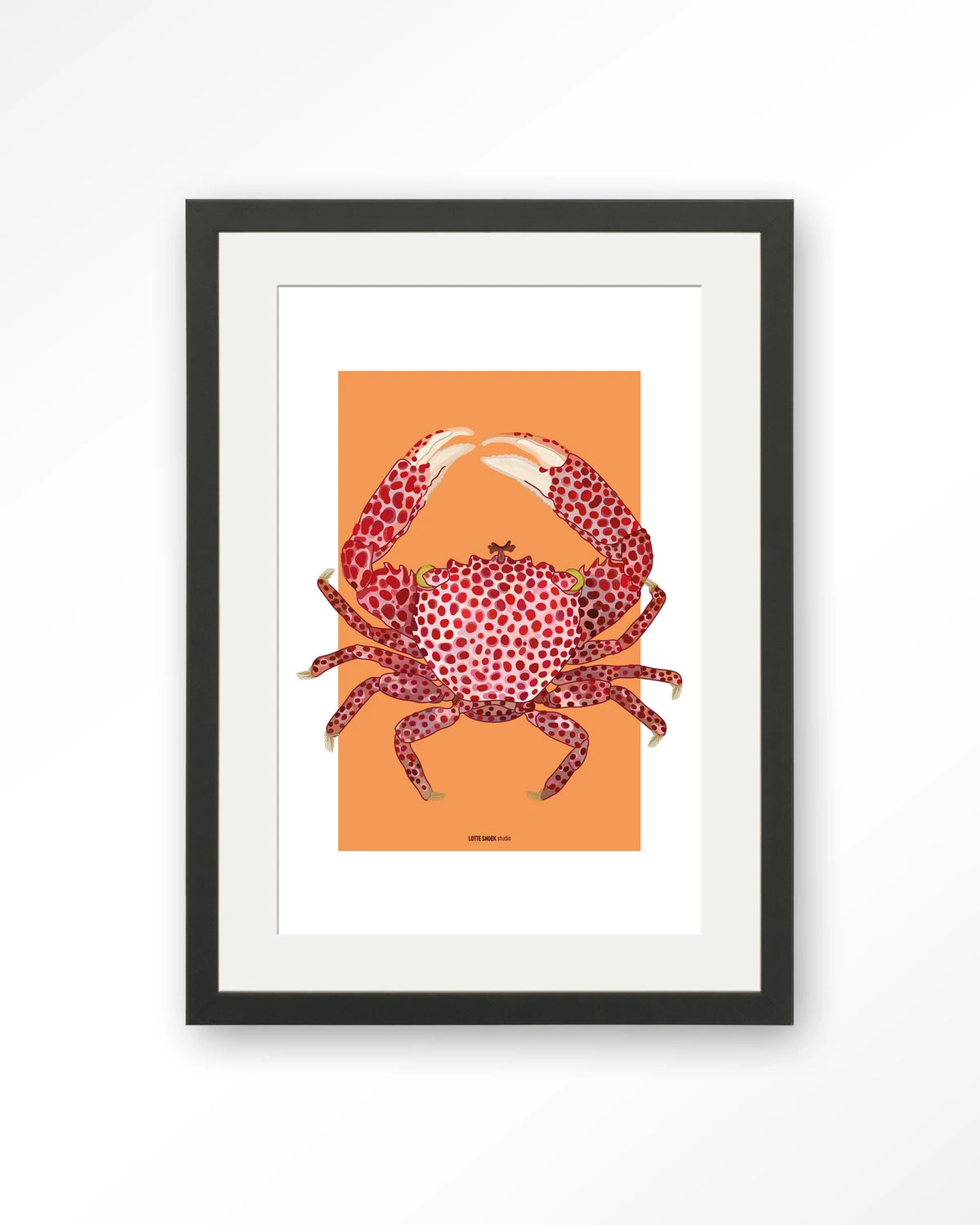 Trapezia – rode krab op oranje – Art print – Hout zwart + passe-partout