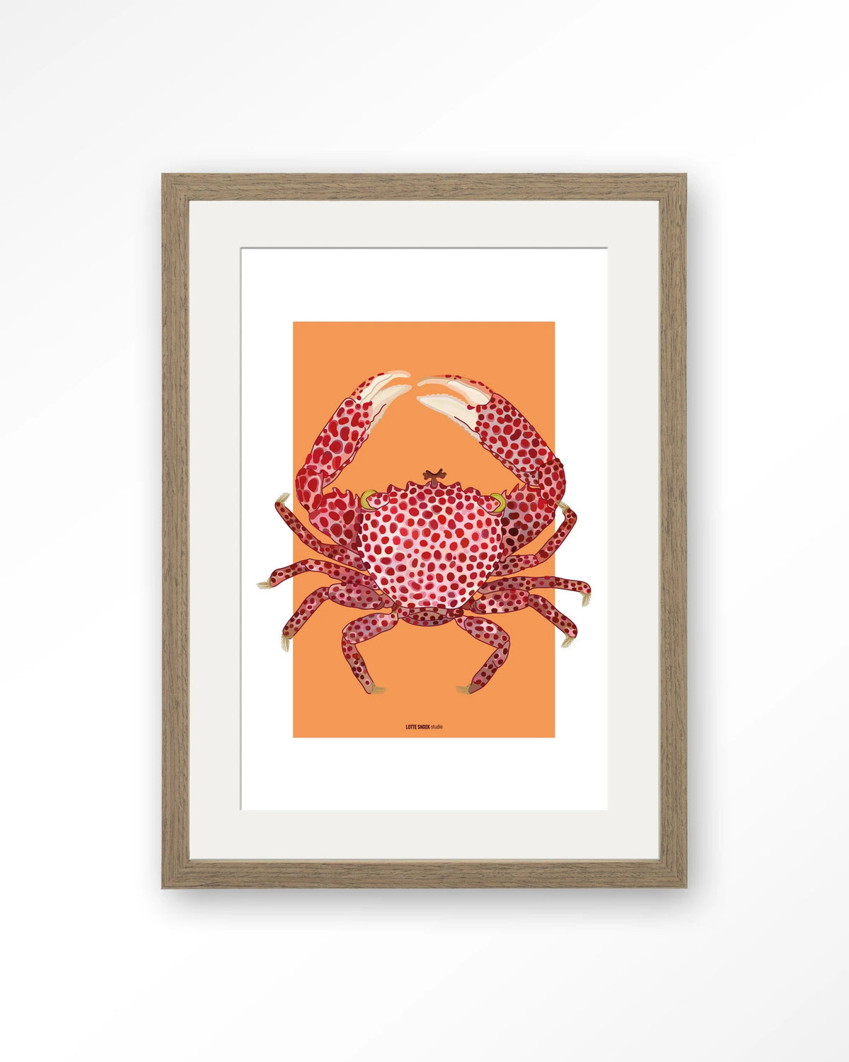 Trapezia – rode krab op oranje – Art print – Hout bruin + passe-partout