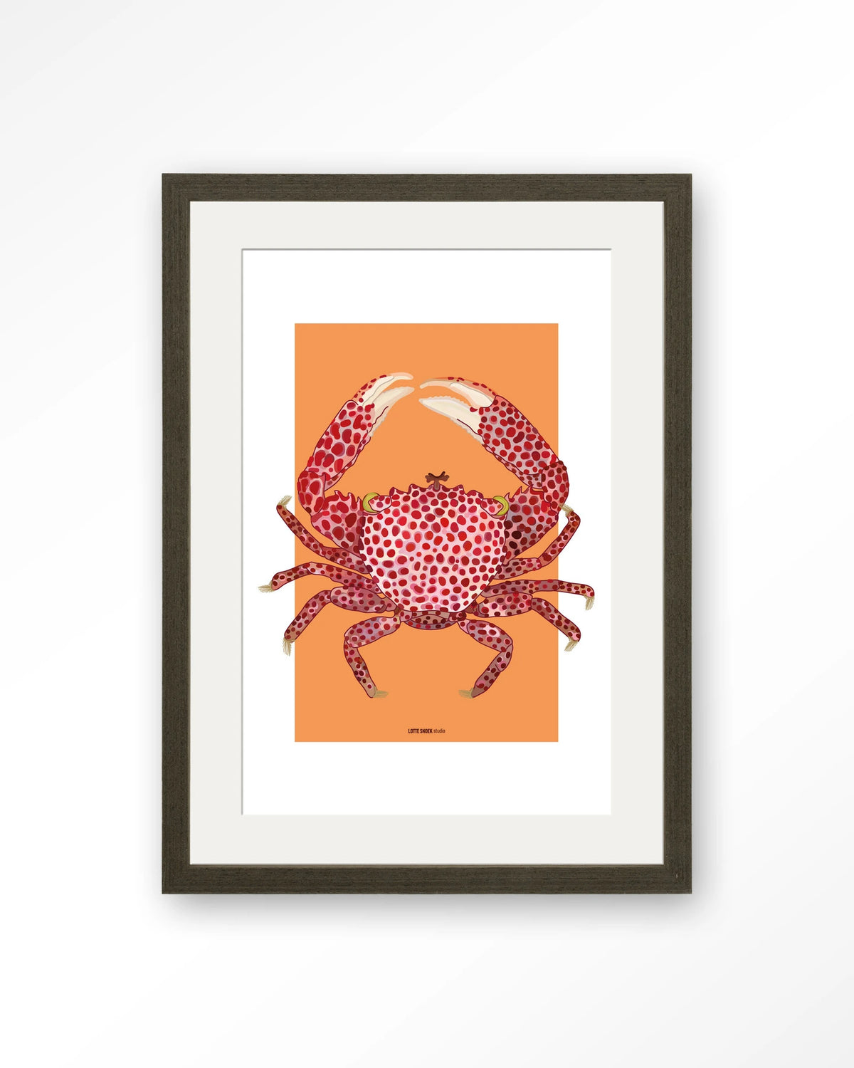 Trapezia – rode krab op oranje – Art print – Hout donkerbruin + passe-partout
