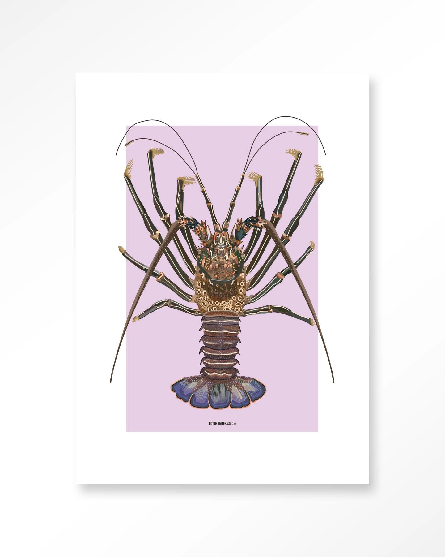 Langosta – Art Print