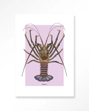 Langosta – Art Print