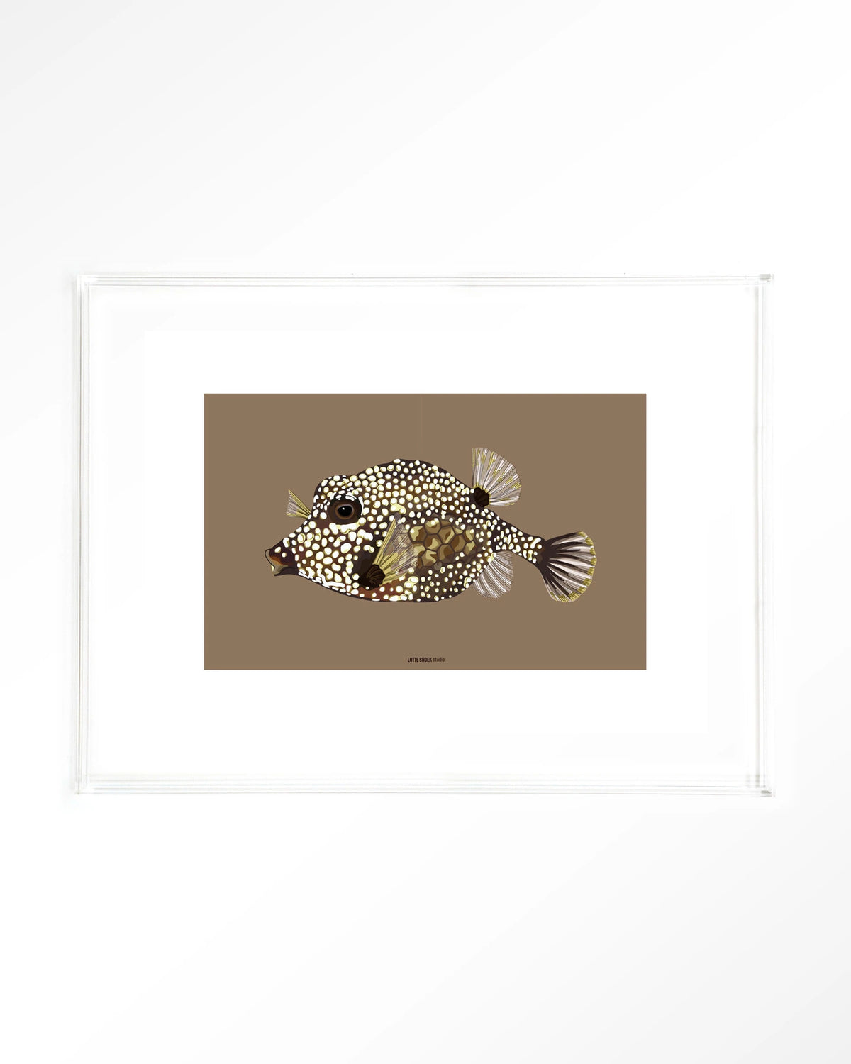 Bisou – koffervis illustratie – Art print – Acryl doorzichtig