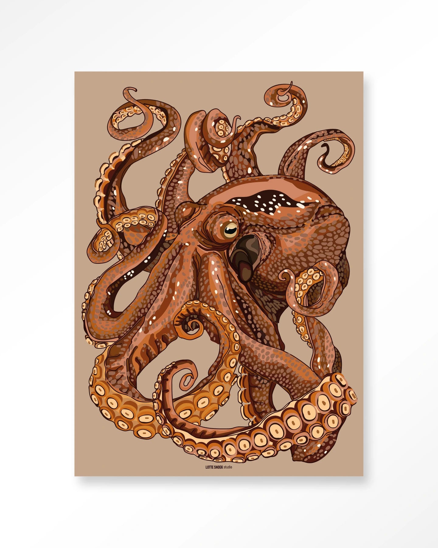 Pulpo – Wandkleed