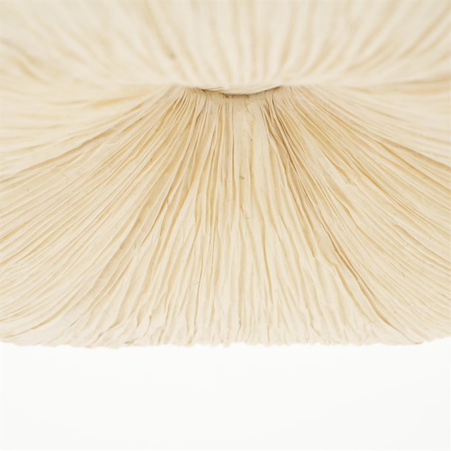 Lamp Pendant lamp Lokta 2 62,5x62,5x19,5 – natuurlijk | By Boo