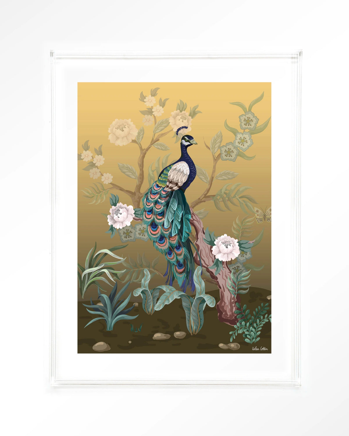 Peacock – pauw in chinoiserie-stijl – Art print – Acryl doorzichtig