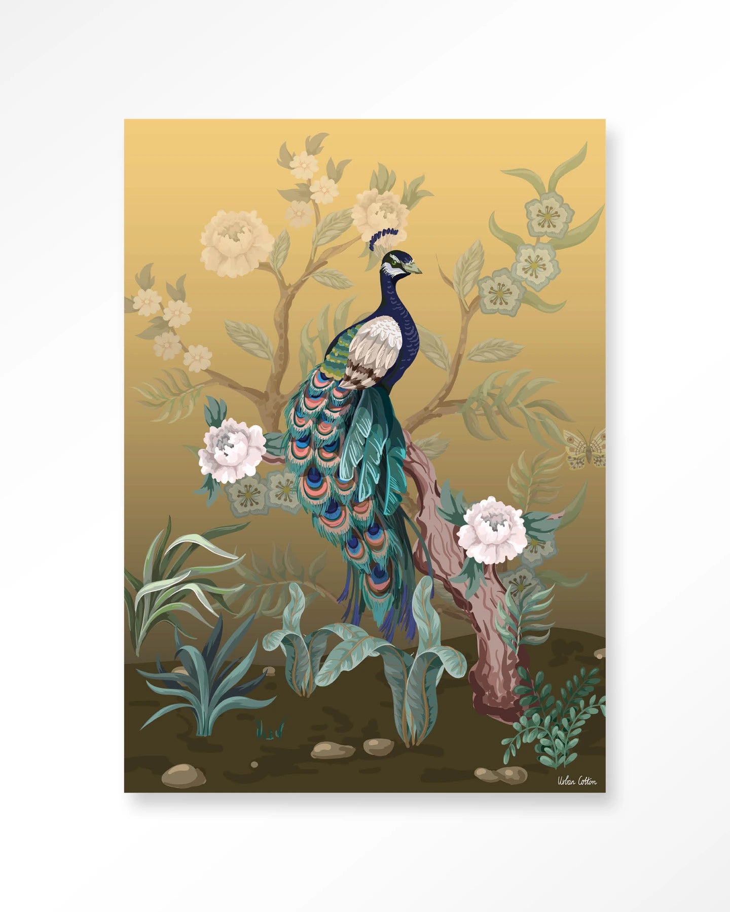 Peacock – Art Print