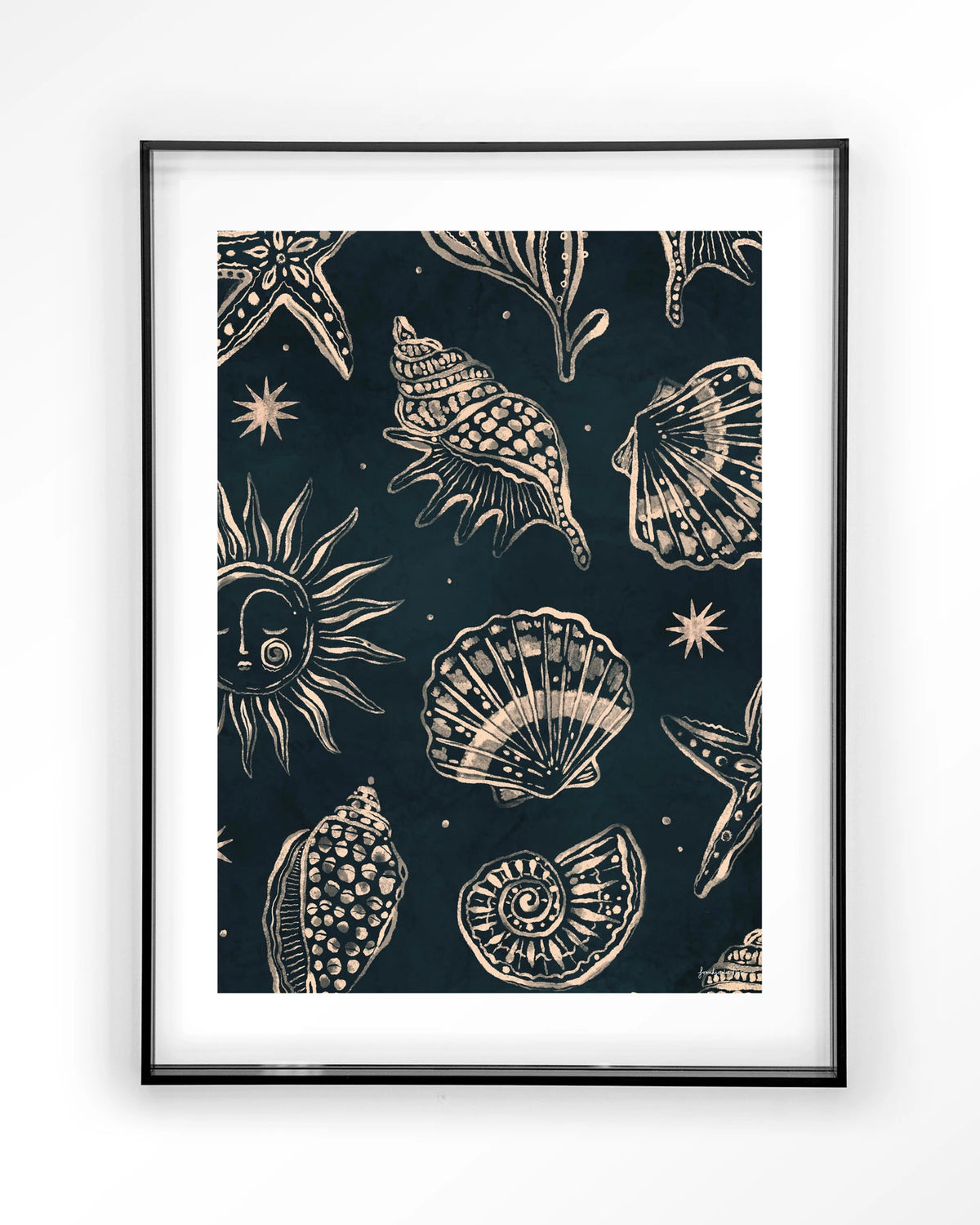 Seashells Midnight – schelpen op donkerblauw – Art print – Acryl zwart