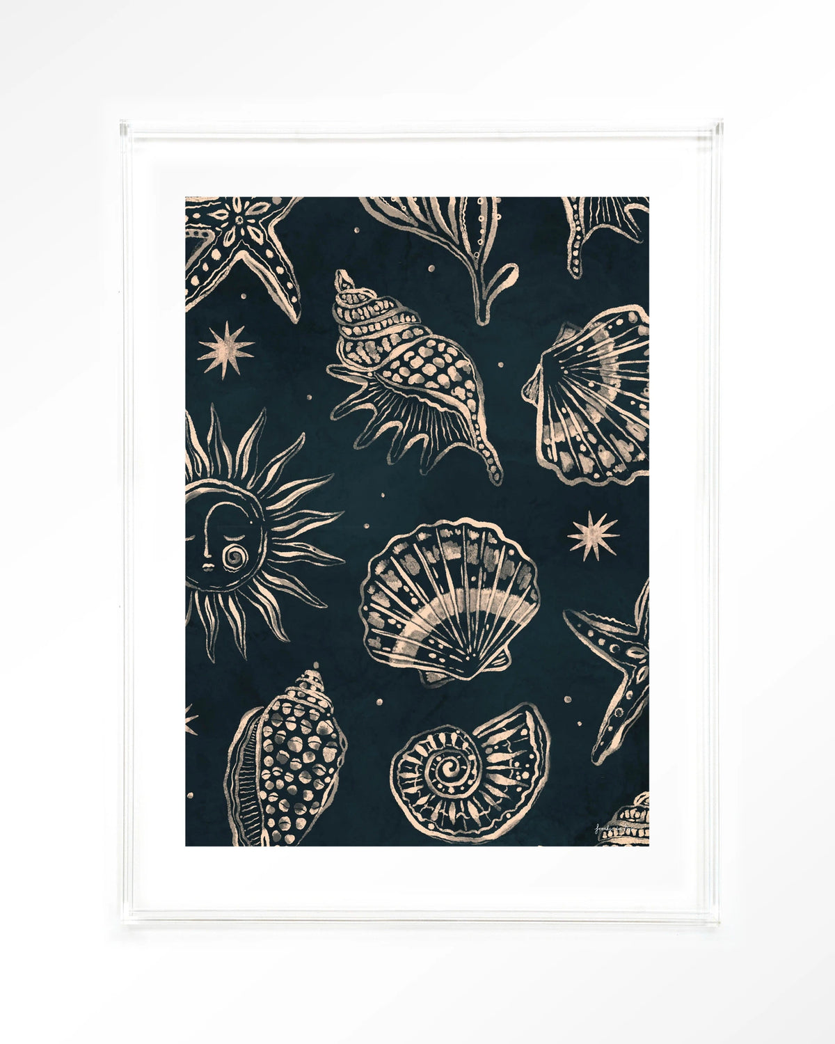 Seashells Midnight – schelpen op donkerblauw – Art print – Acryl doorzichtig