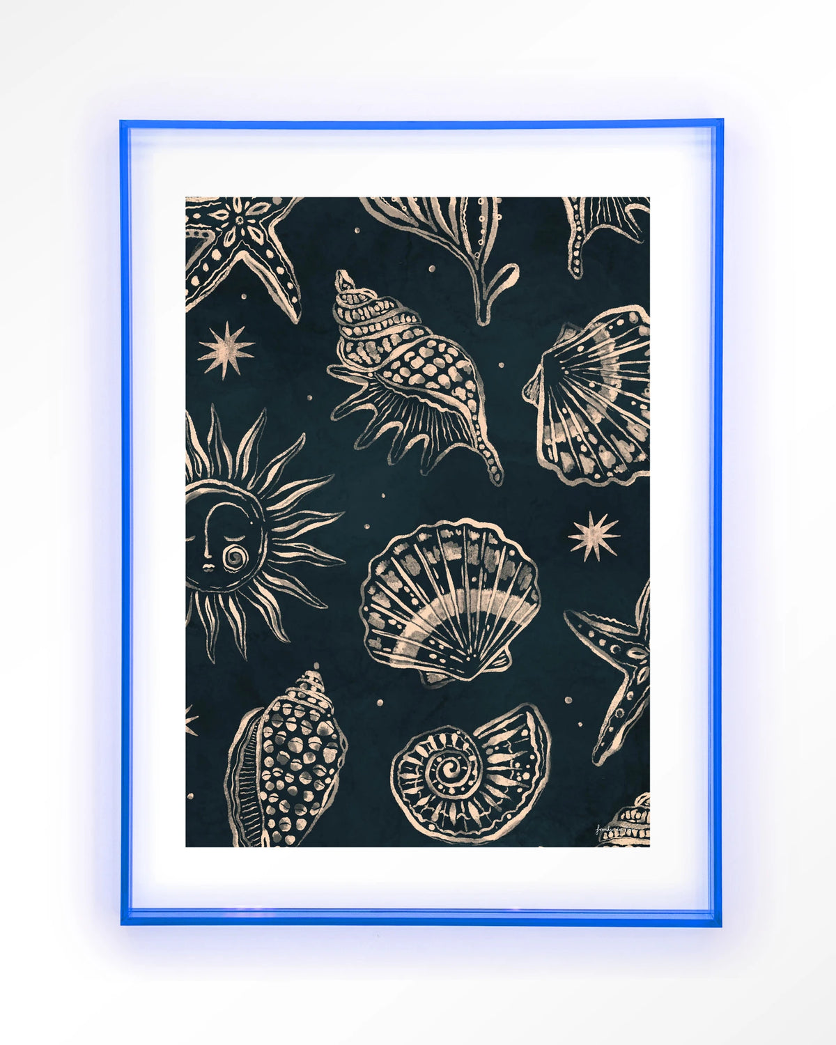 Seashells Midnight – schelpen op donkerblauw – Art print – Acryl lichtblauw