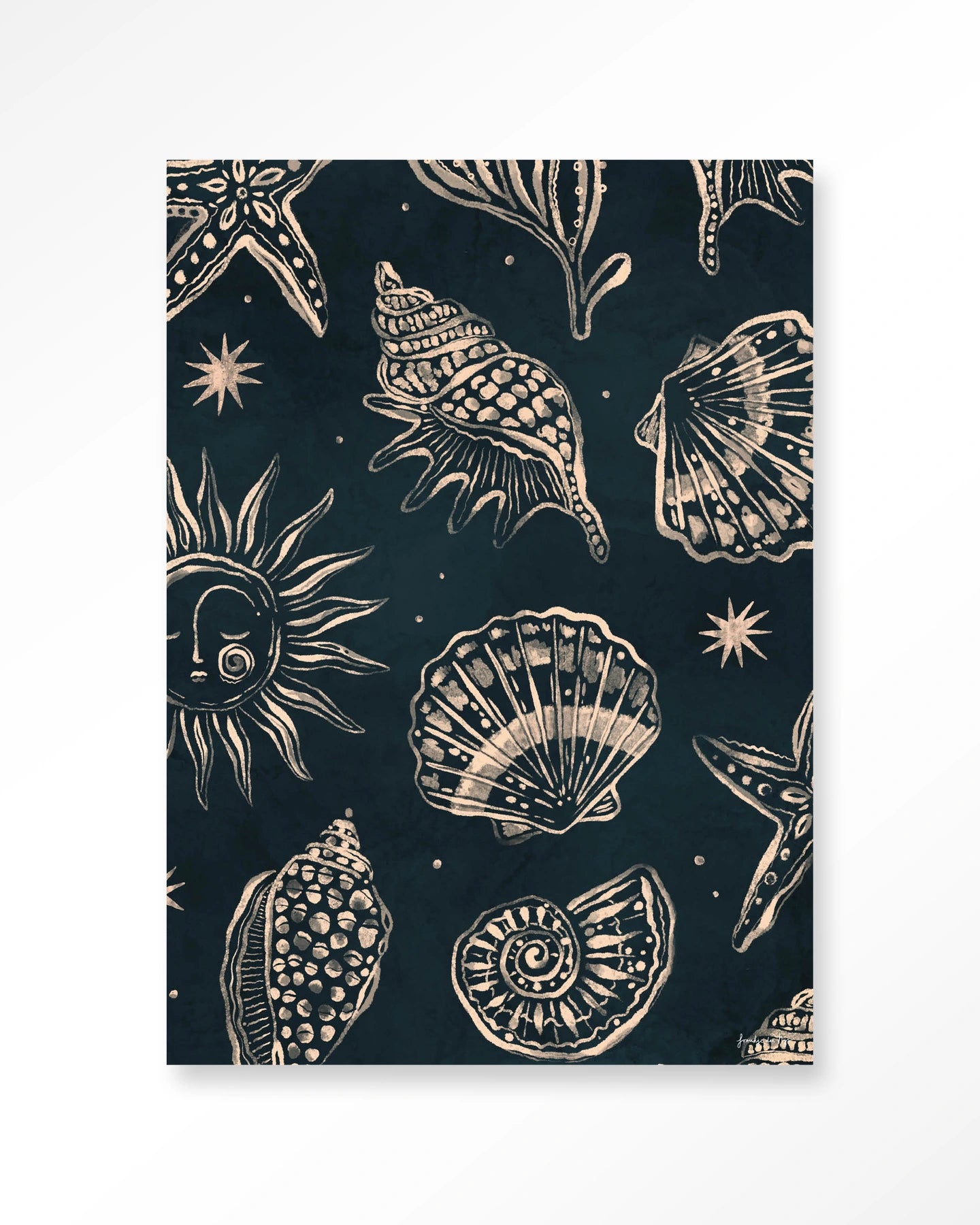 Seashells Midnight – Art Print