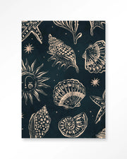 Seashells Midnight – Wandkleed
