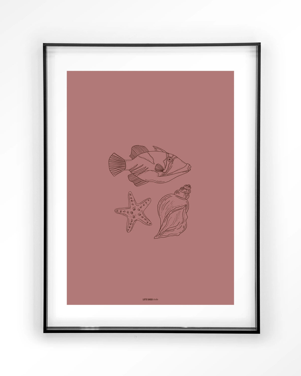 Tres Pisces – vis, zeester en schelp lijntekening – Art print – Acryl zwart