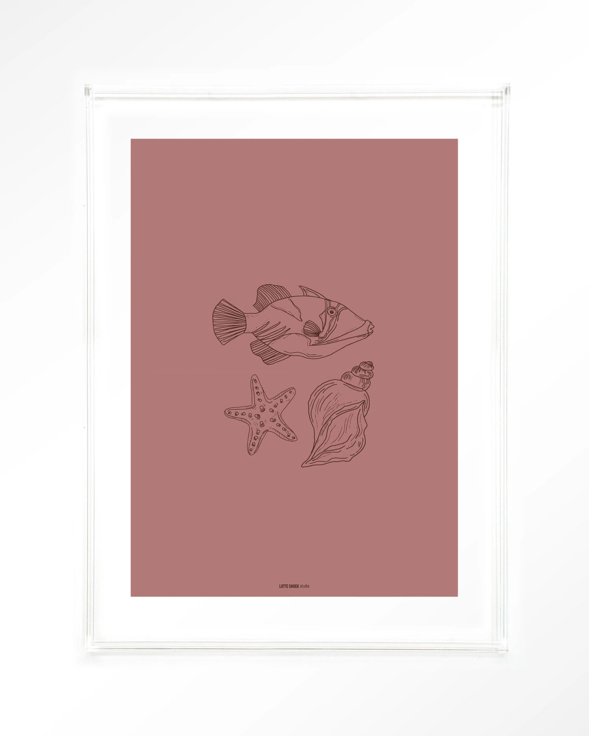 Tres Pisces – vis, zeester en schelp lijntekening – Art print – Acryl doorzichtig