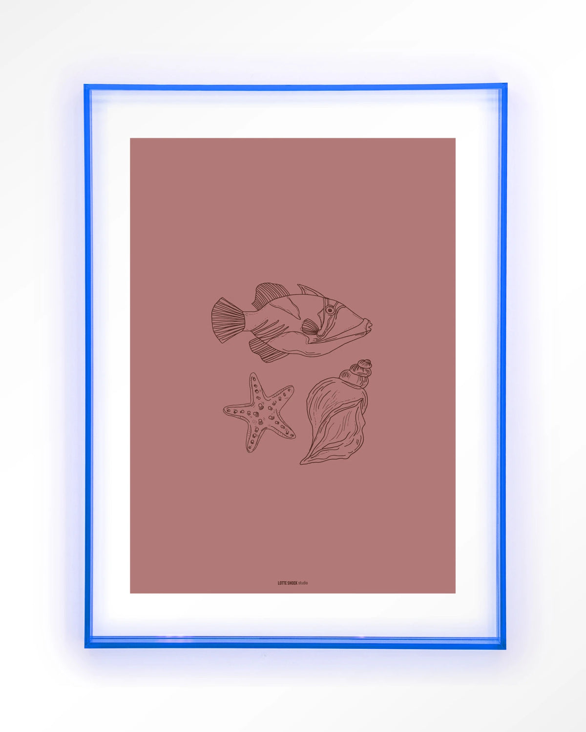 Tres Pisces – vis, zeester en schelp lijntekening – Art print – Acryl lichtblauw