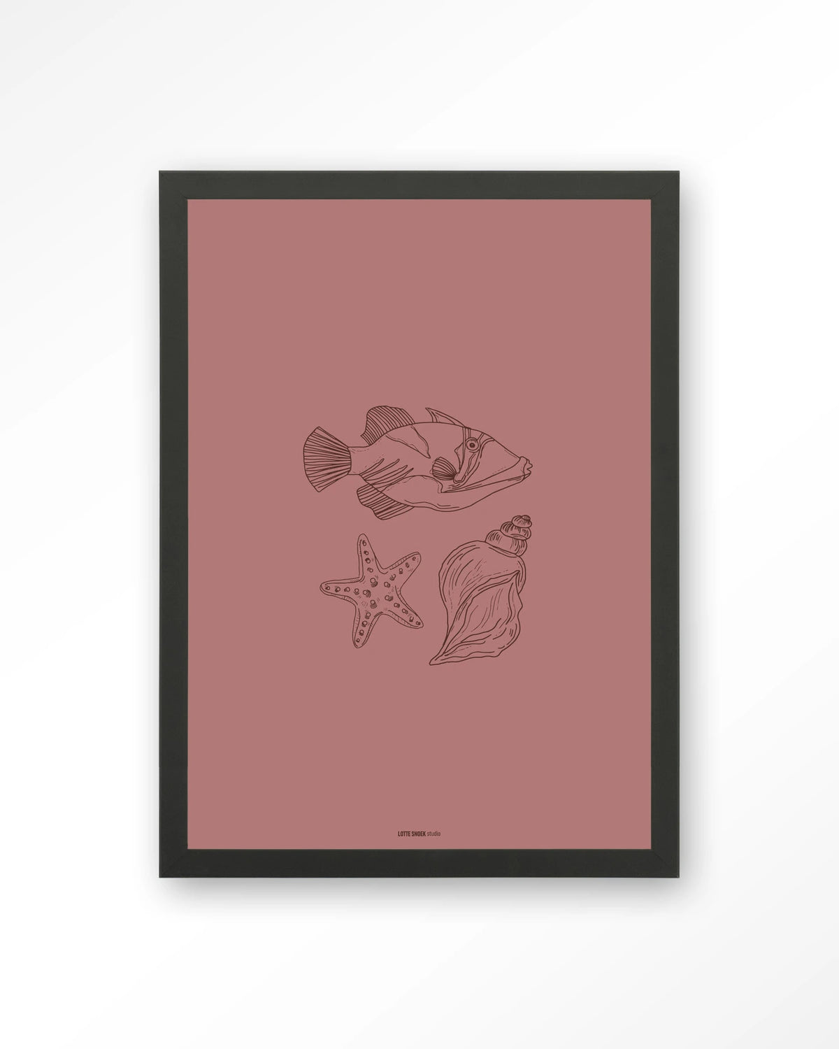 Tres Pisces – vis, zeester en schelp lijntekening – Art print – Hout zwart