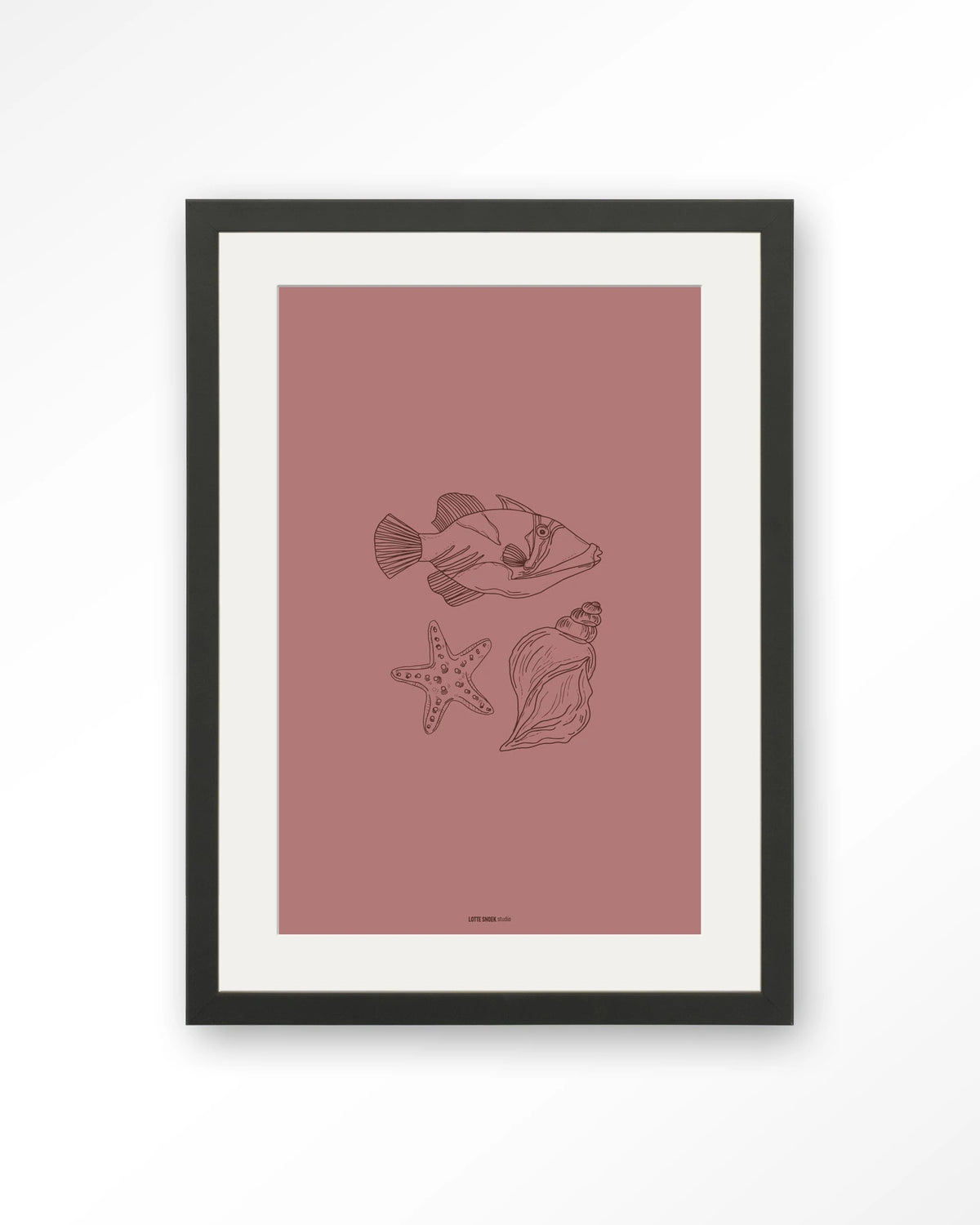 Tres Pisces – vis, zeester en schelp lijntekening – Art print – Hout zwart + passe-partout