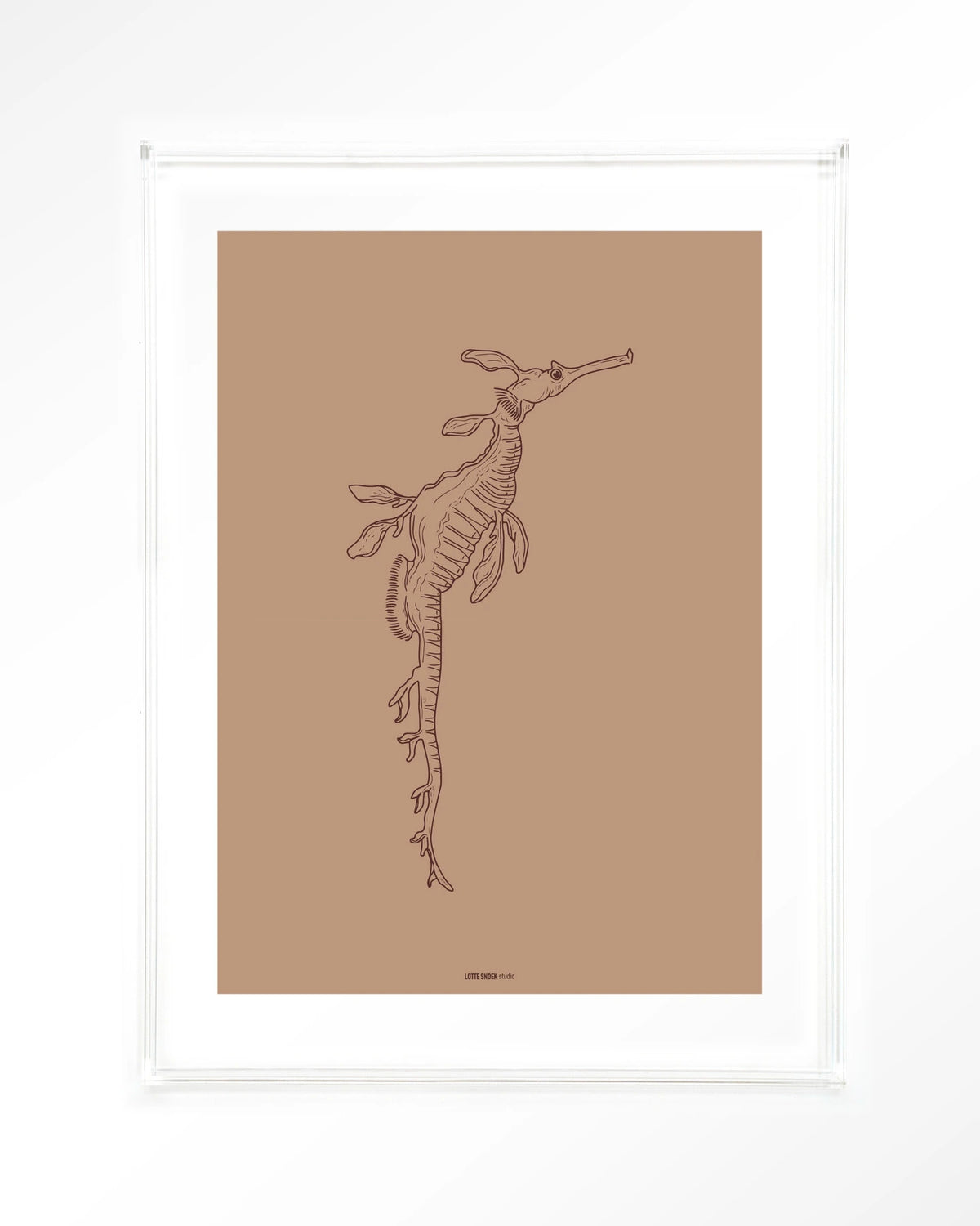 Lau Lau – zeedraakje lijntekening – Art print – Acryl doorzichtig