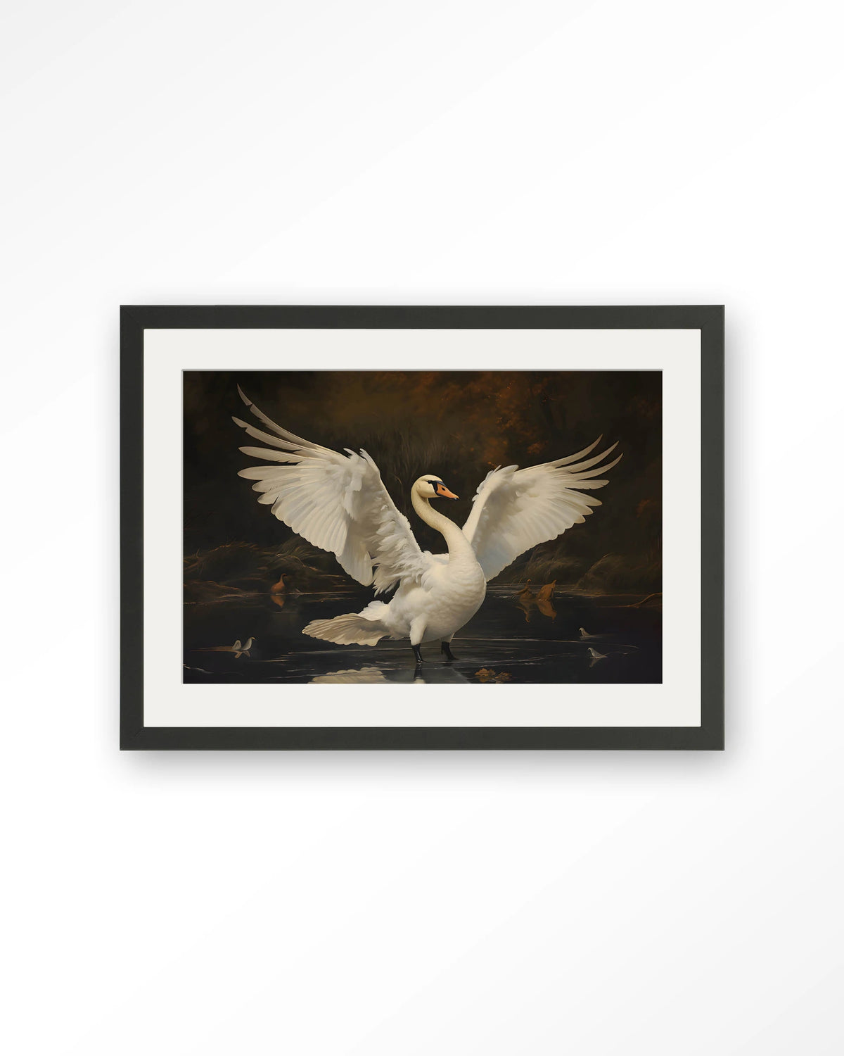 Swan Lake – zwaan op meer – Art print – Hout zwart + passe-partout