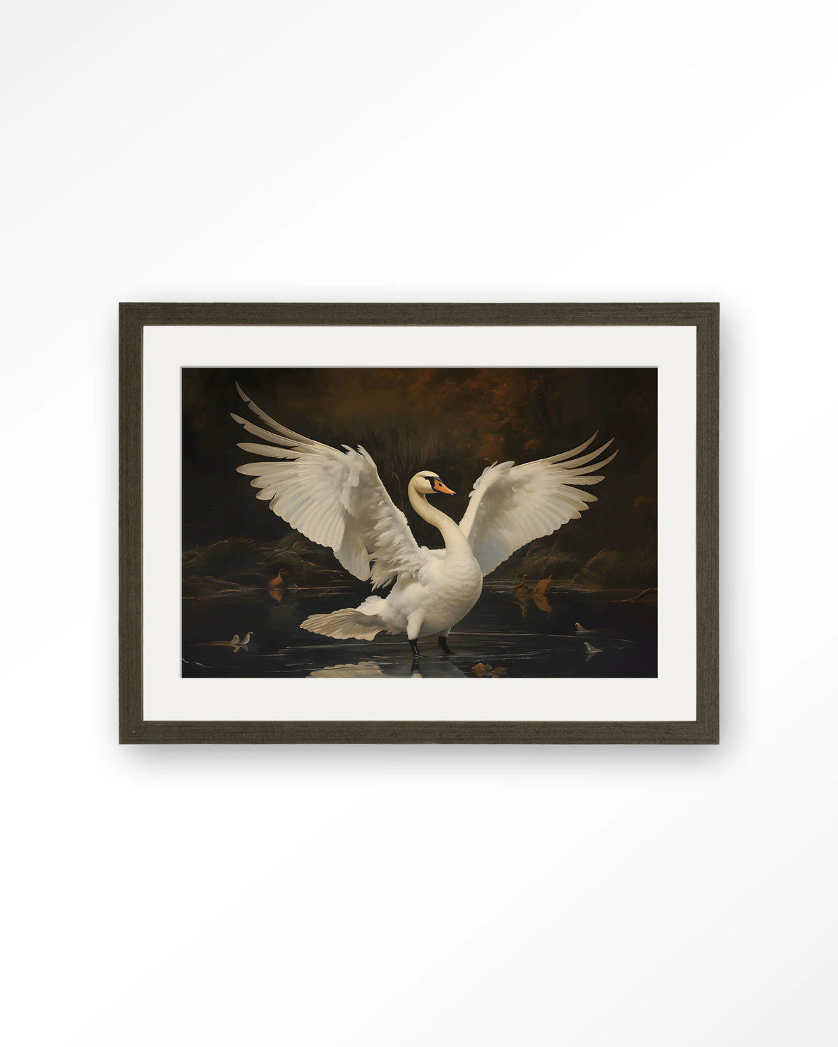 Swan Lake – zwaan op meer – Art print – Hout donkerbruin + passe-partout