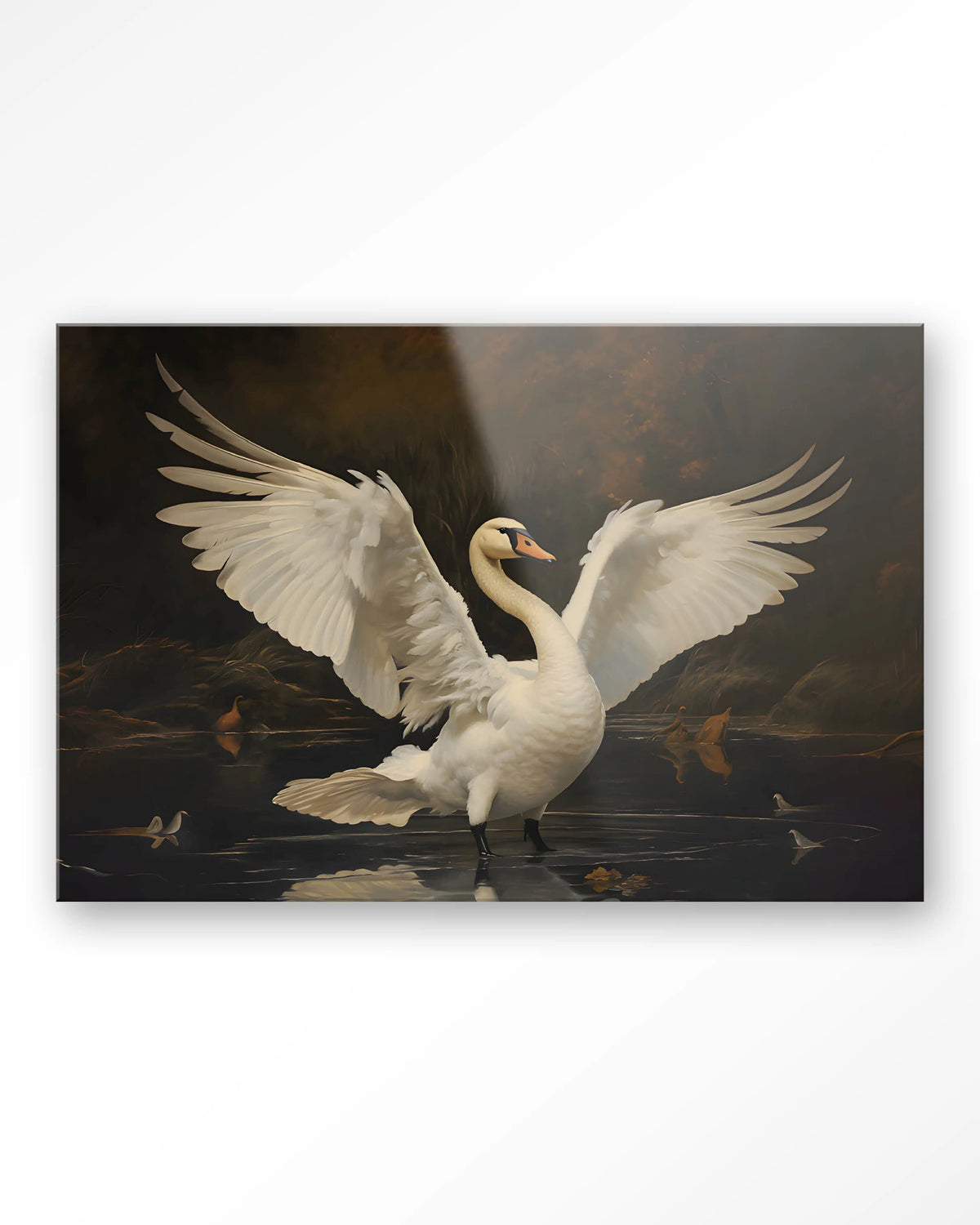 Swan Lake – zwaan op meer – Glas – Blinde montage