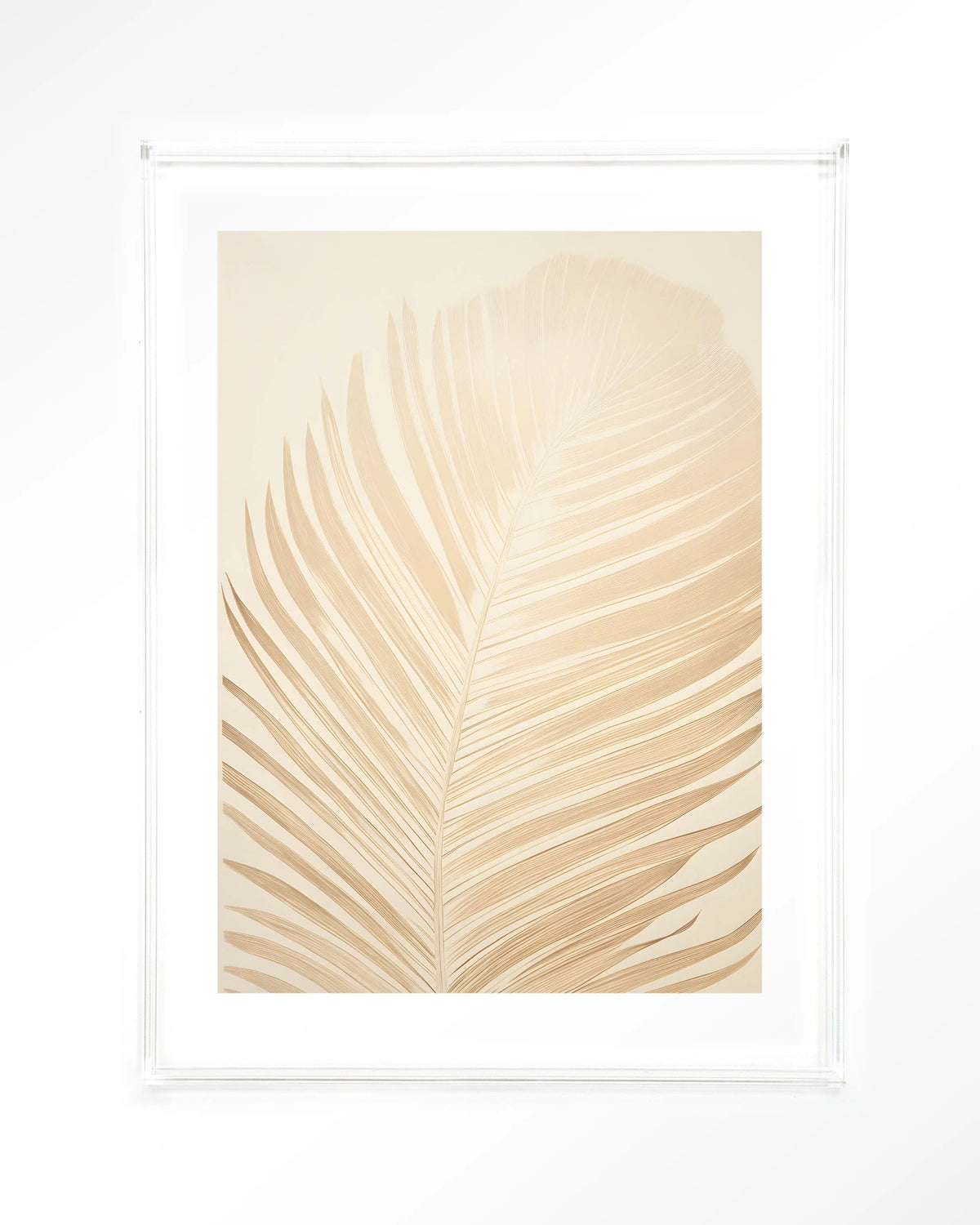 Feuille – palmblad in beige – Art print – Acryl doorzichtig