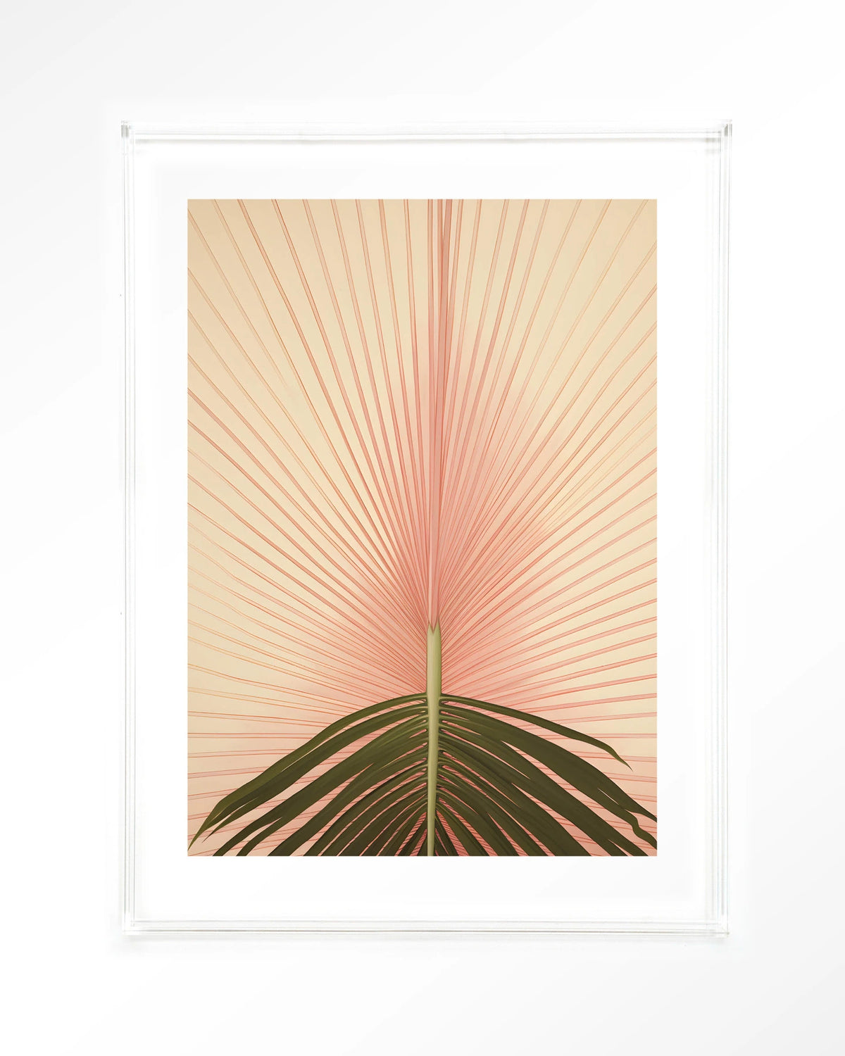 Palma – palmblad in roze – Art print – Acryl doorzichtig