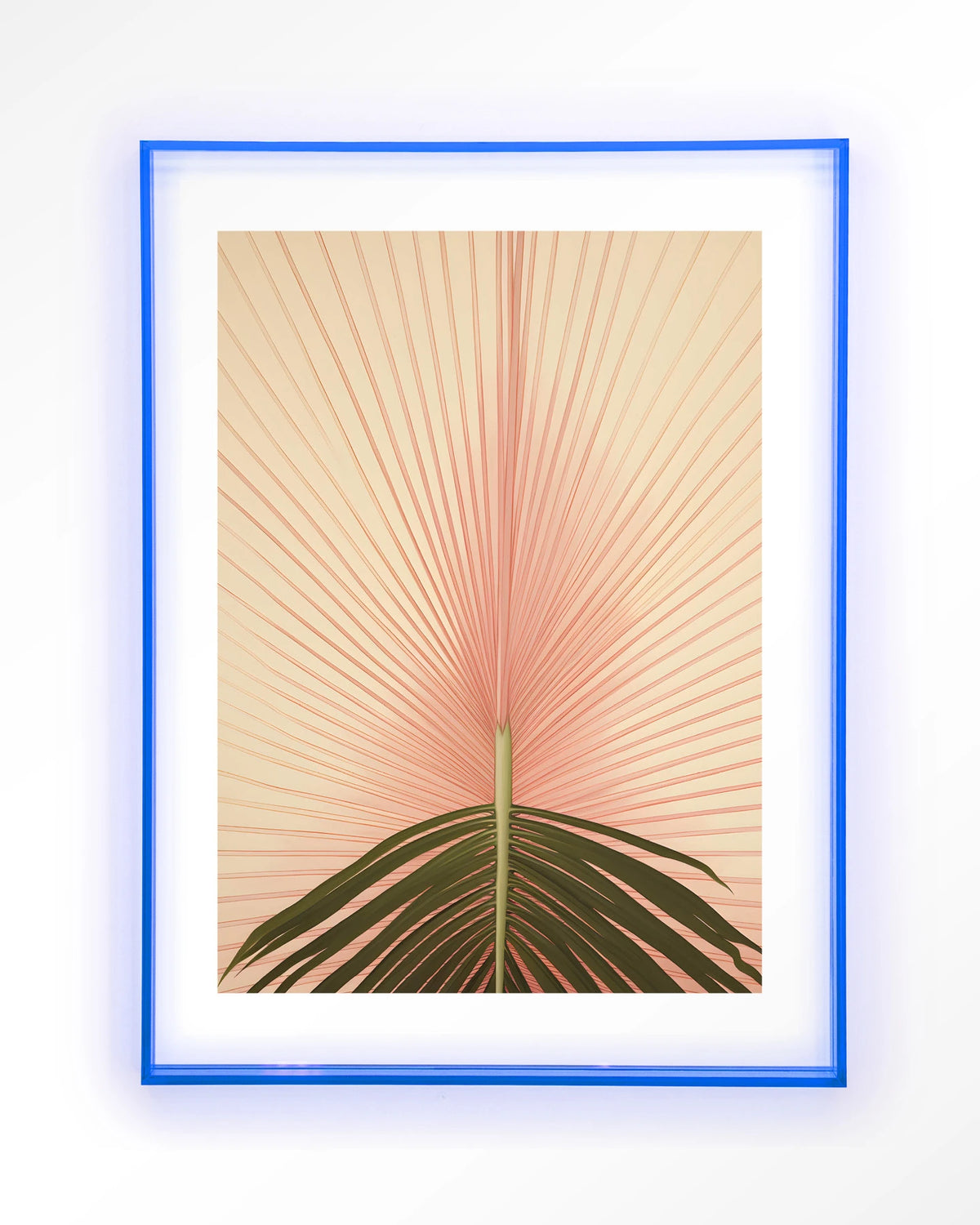 Palma – palmblad in roze – Art print – Acryl lichtblauw