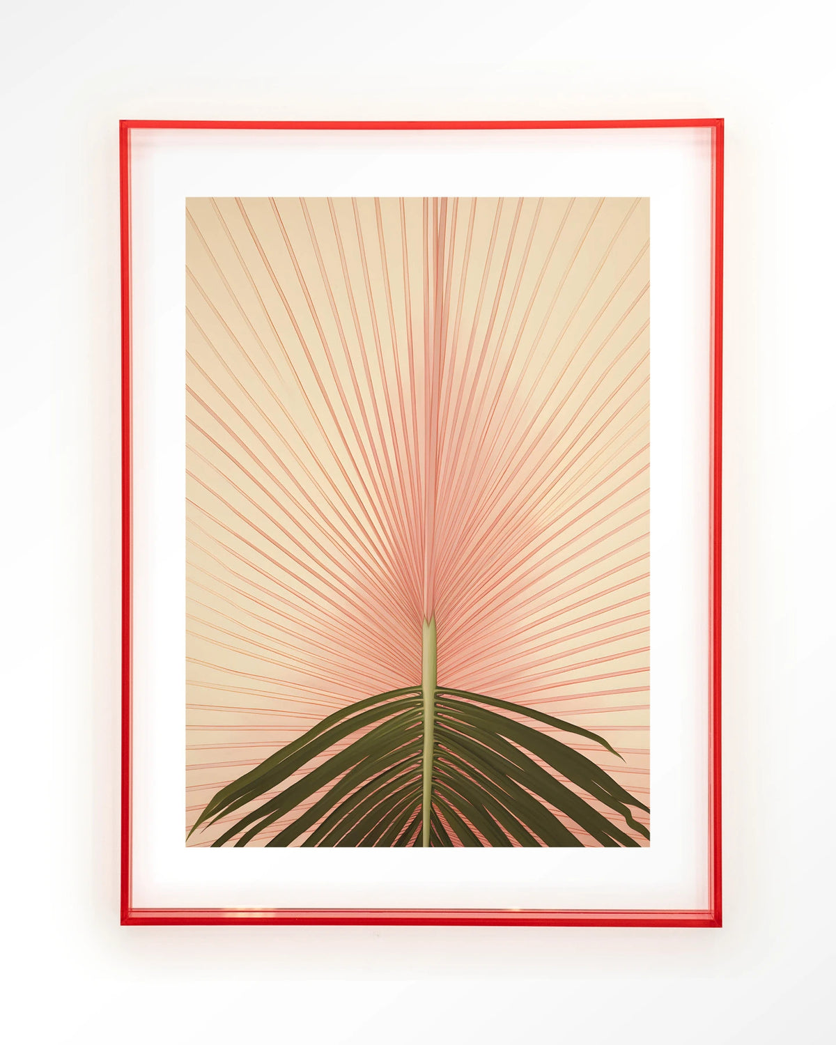 Palma – palmblad in roze – Art print – Acryl roze