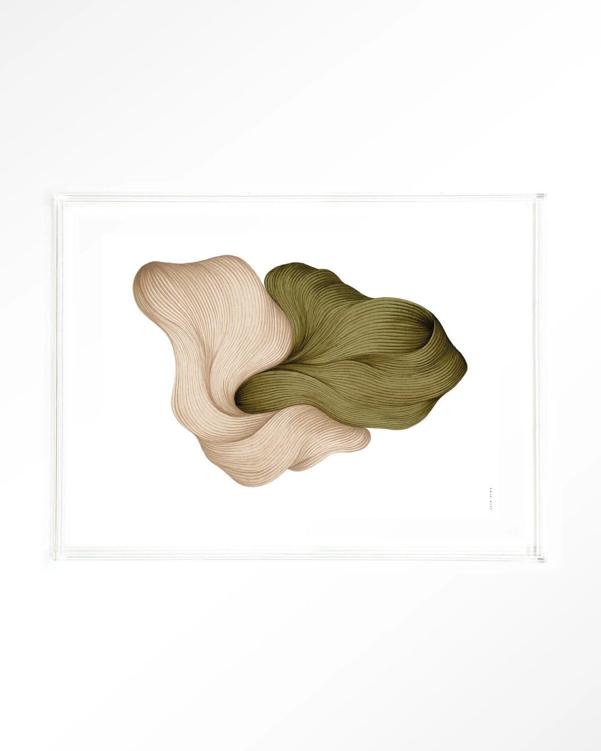 DWG-K – lijntekening in groen en beige – Art print – Acryl doorzichtig