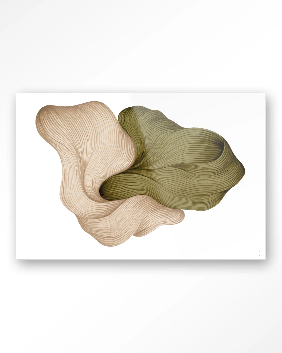 DWG-K – lijntekening in groen en beige – Glas – Blinde montage