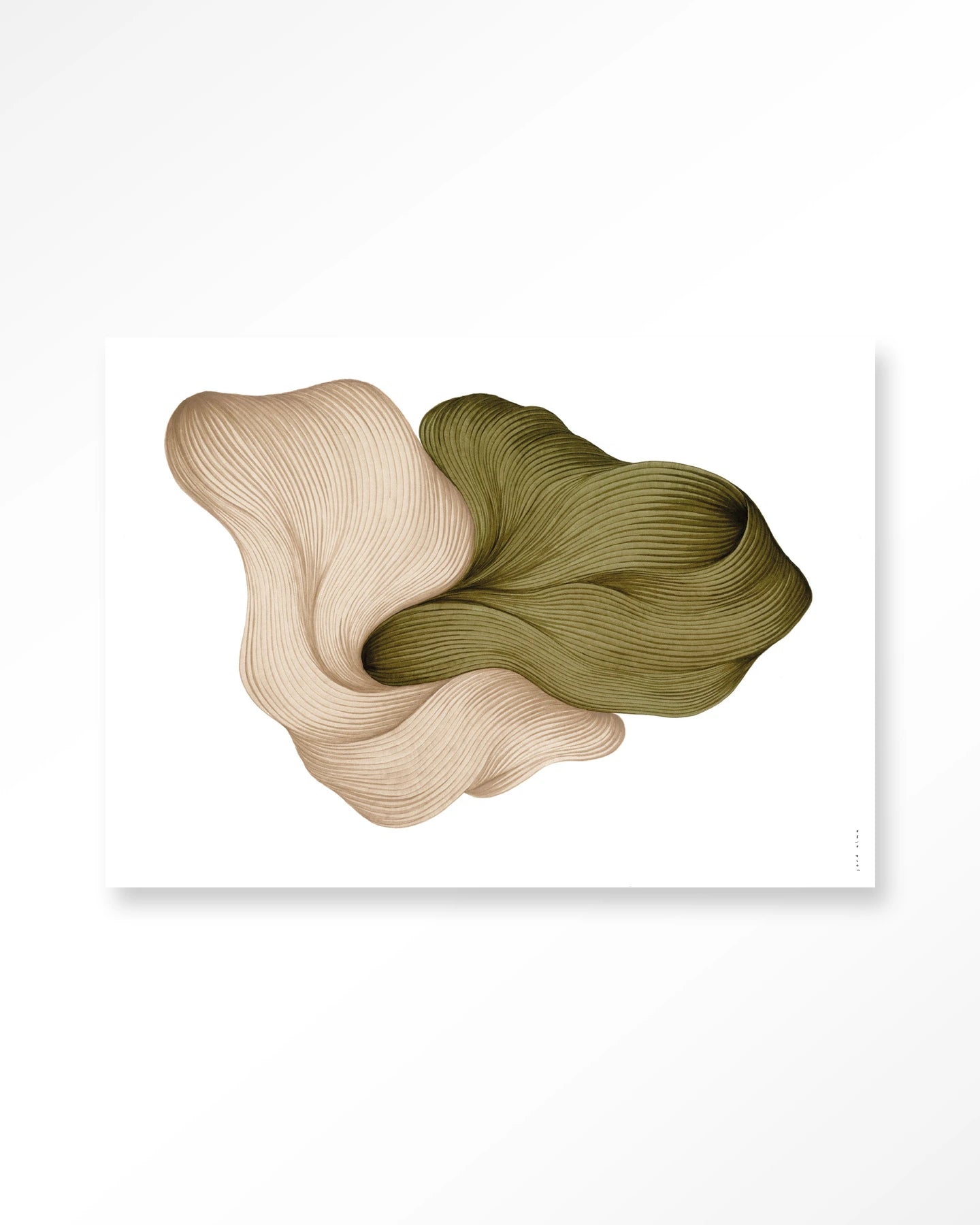 DWG-K – Wandkleed
