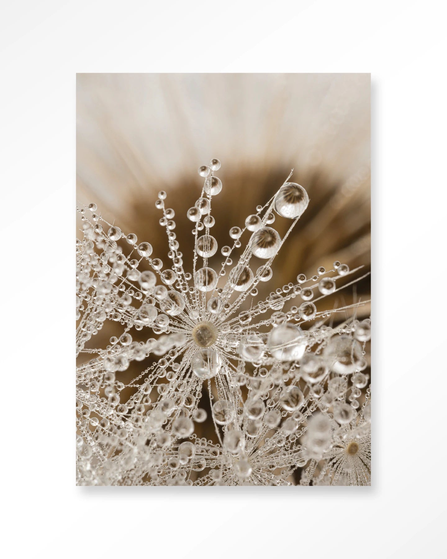 Landelijke Natuur - Art Print