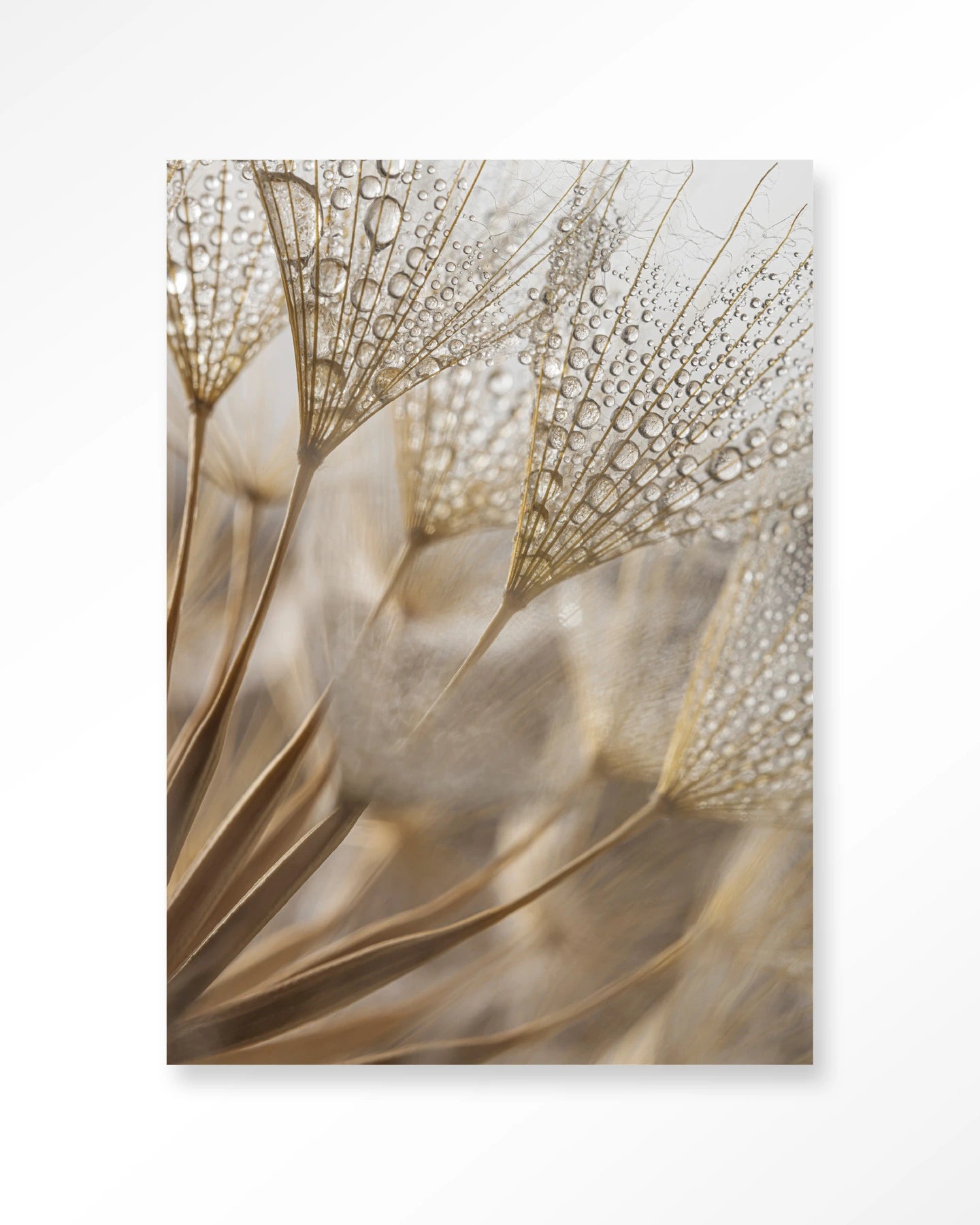 Natuurlijke Abstractie - Wandkleed