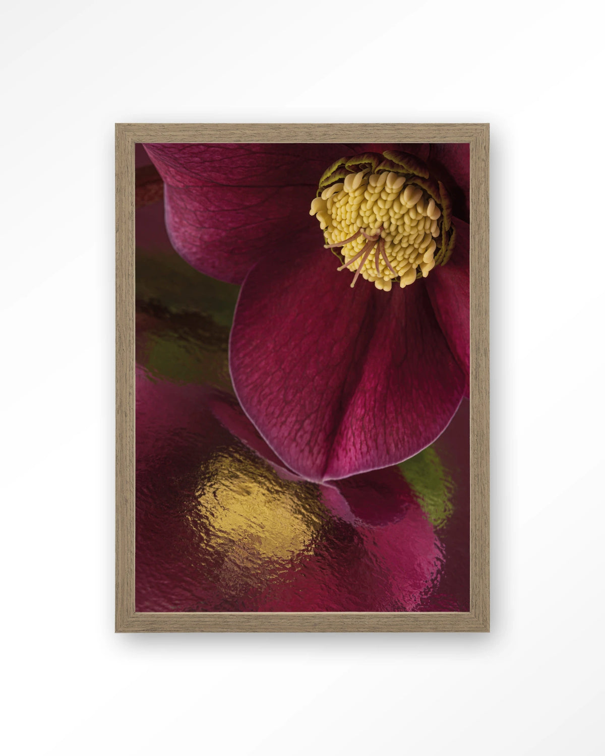 Weerspiegeling Van Een Kerstroos – kerstroos close-up in bordeaux – Art print – Hout bruin