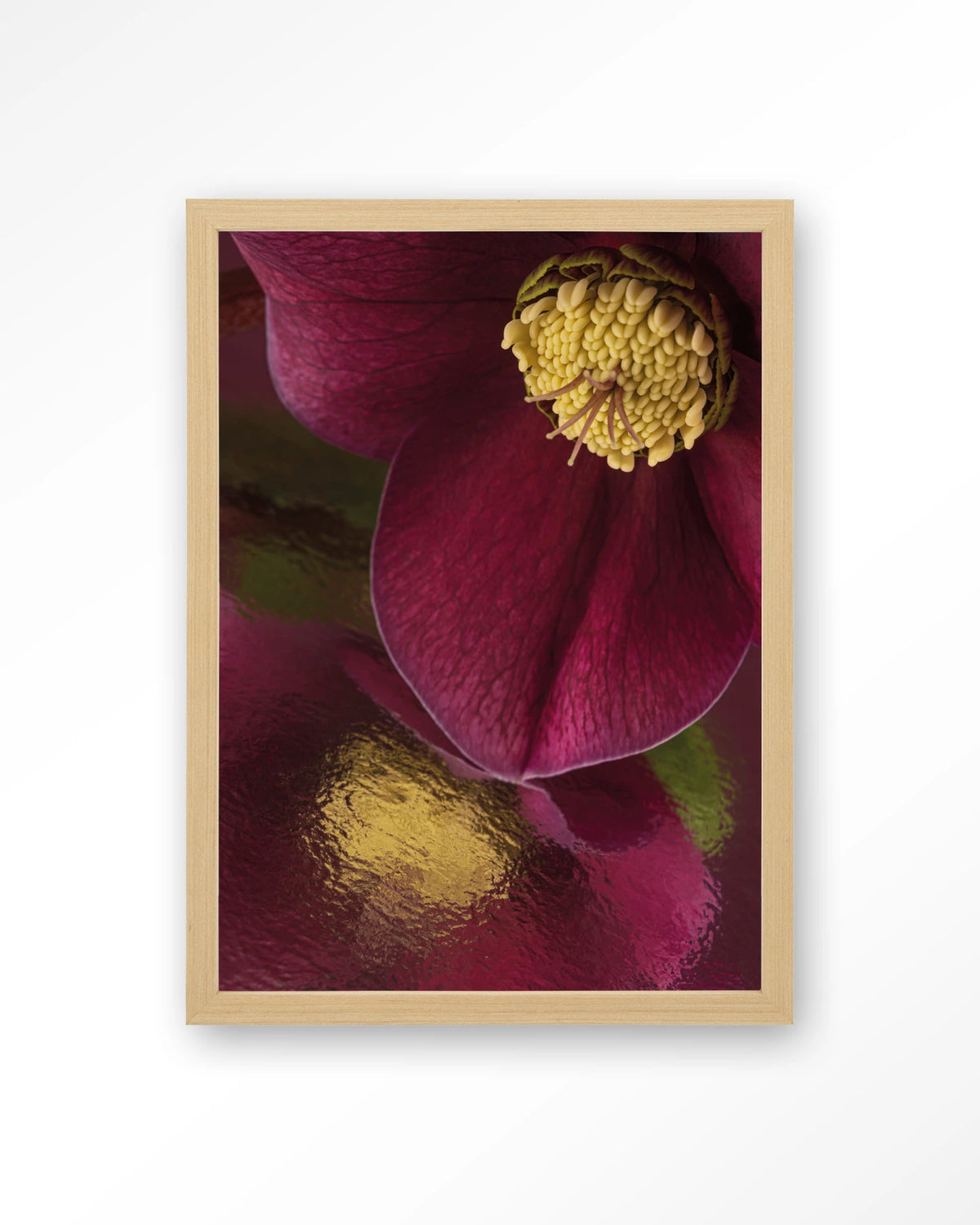 Weerspiegeling Van Een Kerstroos – kerstroos close-up in bordeaux – Art print – Hout naturel