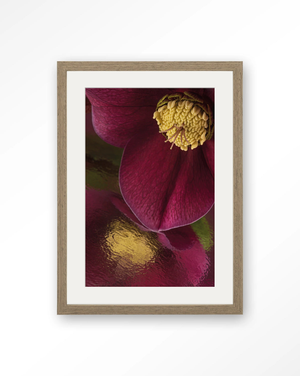 Weerspiegeling Van Een Kerstroos – kerstroos close-up in bordeaux – Art print – Hout bruin + passe-partout