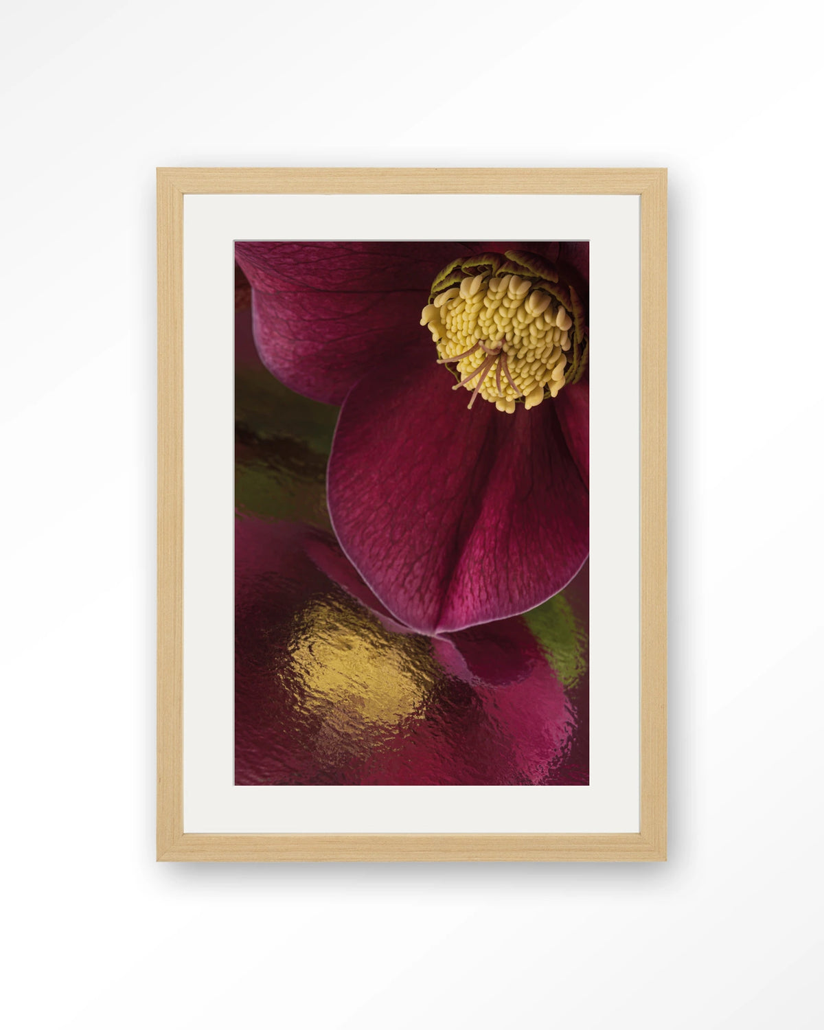 Weerspiegeling Van Een Kerstroos – kerstroos close-up in bordeaux – Art print – Hout naturel + passe-partout