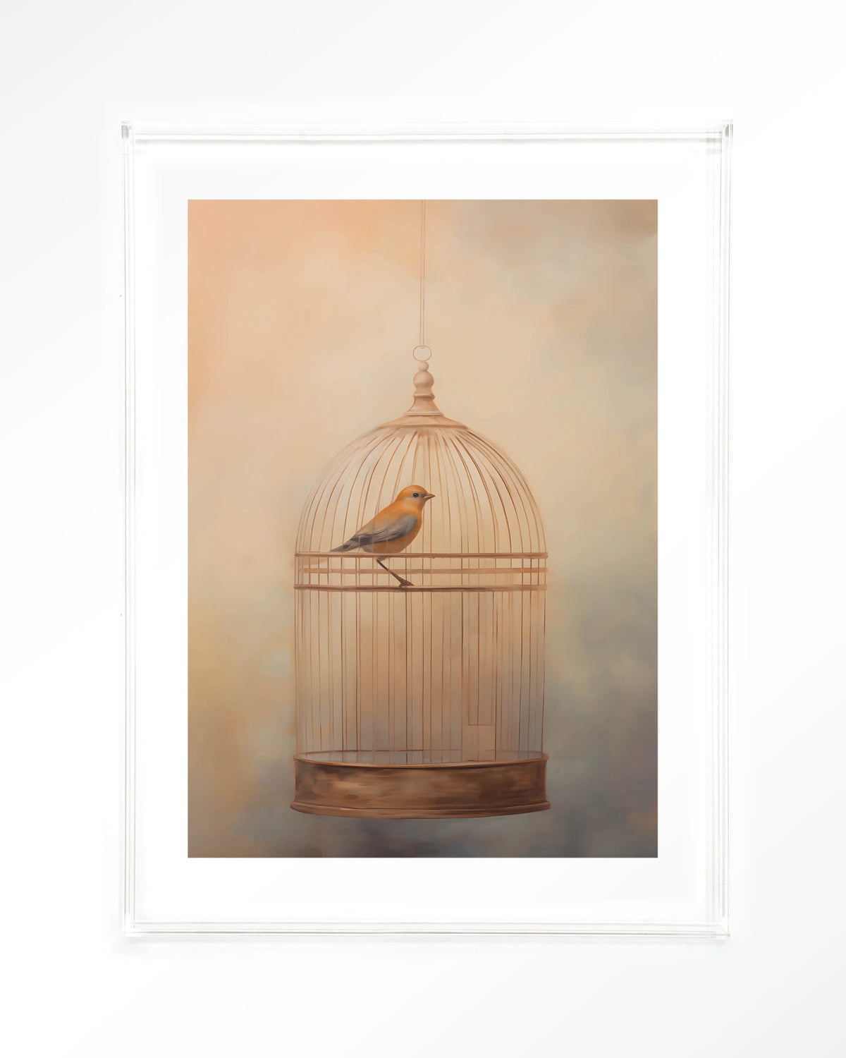 Bird Cage – vogel in kooi – Art print – Acryl doorzichtig