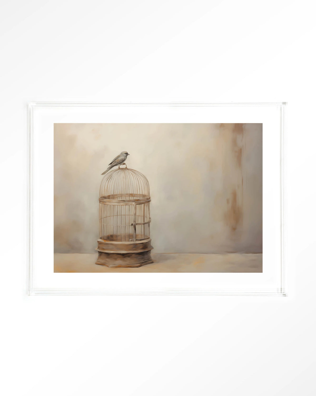 Birdy – vogel op vogelkooi – Art print – Acryl doorzichtig